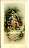 Picture 19