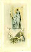 Picture 24