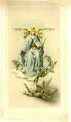 Picture 27