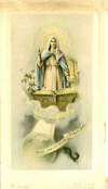 Picture 31