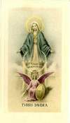Picture 37