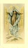Picture 41