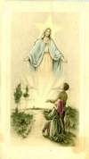 Picture 42