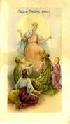 Picture 49