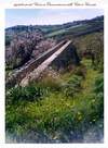 104 - Immagine 6 Picture 105