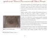 027 - pag. 27 Picture 28