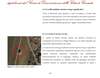 086 - pag. 89 Picture 87