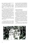 28 - pag. 26 Picture 29