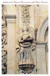 Picture 26