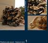 74 a Picture 103