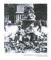 52 - pag. 51 Picture 53