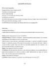 105 - pag. 102 Picture 106