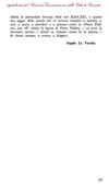 019 - pag. 17 Picture 20