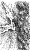12 Picture 13