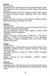 092 - pag. 94 Picture 93