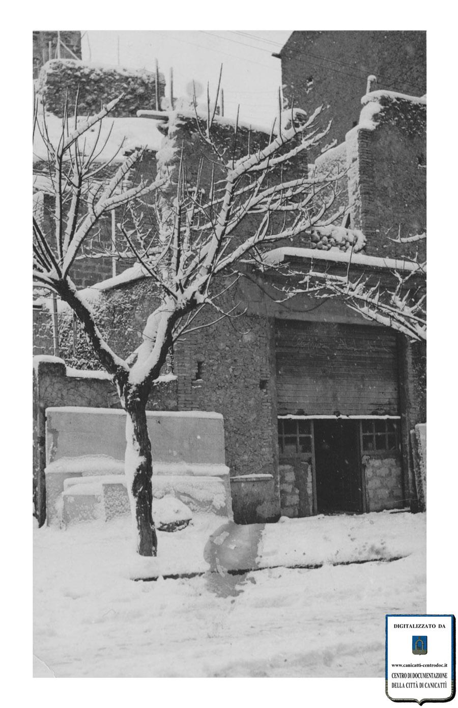 Canicattì · neve del 1956 · fotografia 3